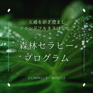 森林セラピー