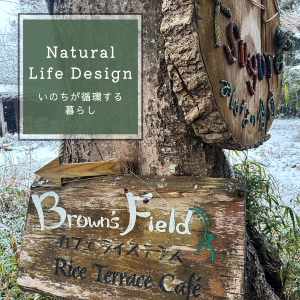 ブラウンズフィールドの暮らし③